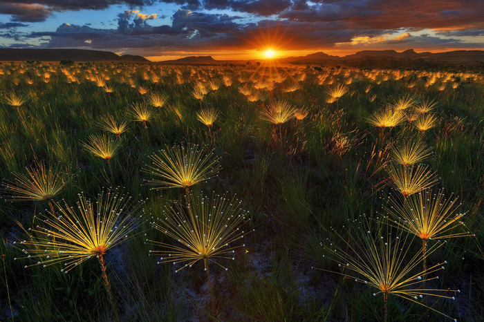 Sunset with fireworks - , Sunset, The photo, Nature, 