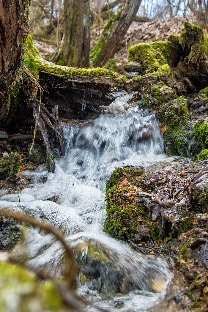 Brook - Stream, My, My, Pushchino