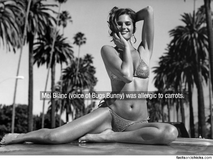 Тёлки и факты-4