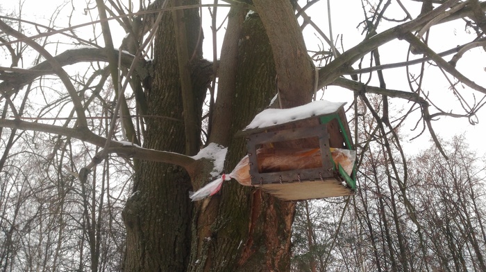 Сходить в парк, покормить птичек