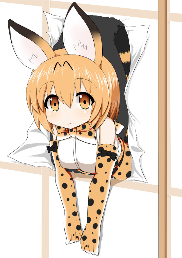 Kemono Friends [3] - Anime art, Kemono friends, Anime, Longpost