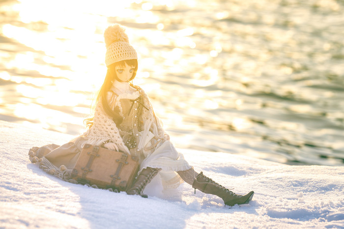 DollfieDream -   Dollfiedream, , ,  , , 