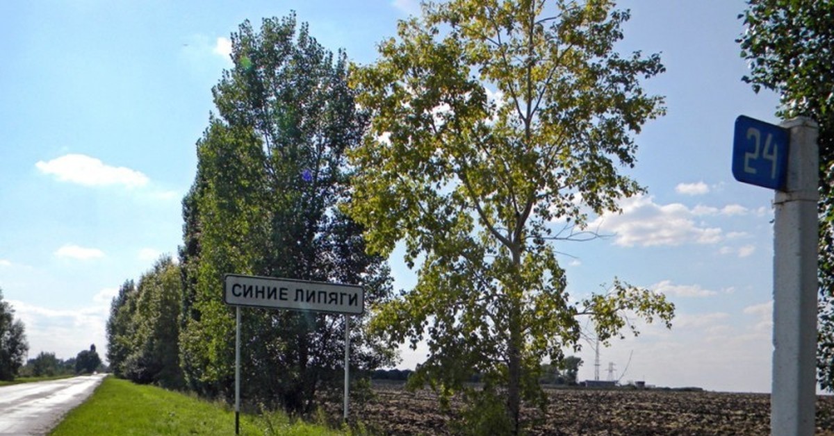 Село синие. Воронежская область село синие Липяги. Синие Липяги Нижнедевицкого района Воронежской области. Село синие Липяги Нижнедевицкого района Воронежской области. С синие Липяги Нижнедевицкого р-на Воронежской обл.