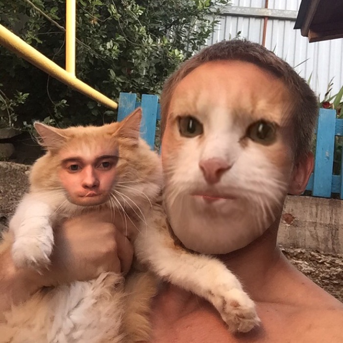 I took a picture with a cat, but what did you achieve? - My, cat, Animals, Selfie