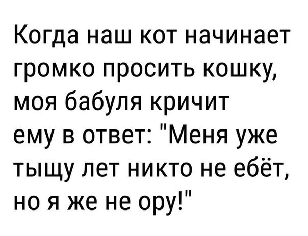 Mdaaa)) - Humor, Mat, 