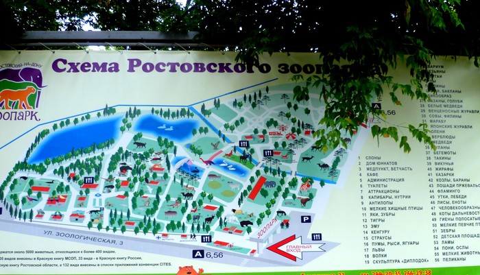 Rostov Zoo. - My, Rostov-on-Don, Rostov Zoo, Impressions, Animals, The photo, Thursday, Longpost