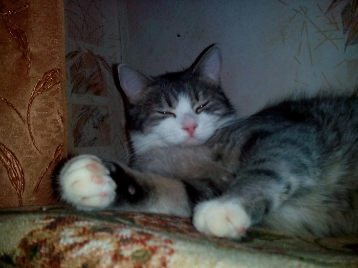 ��� ���������� �������� ��������, �� �� ���