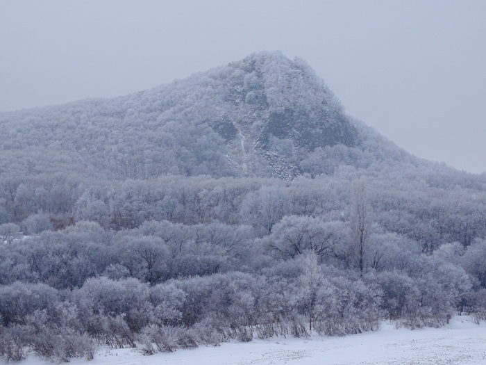 Walking tour from Senkin's hat, to the village of Pokrovka. - My, Дальний Восток, Primorsky Krai, Oktyabrsky District, Pokrovka, Winter, beauty, Longpost