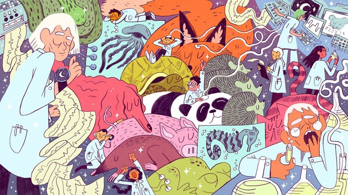 In a new Japanese lab, an international team of scientists is trying to figure out what makes us fall asleep. - Geektimes, Copy-paste, Brain, Biotechnology, Dream, Bayu-bye, Neurotransmitters, , Longpost