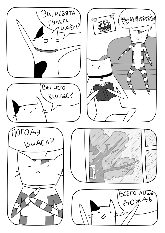 Cats on the street - My, cat, Comics, Rain, Umbrella, The sun, Weather, Black and white, The street, Longpost