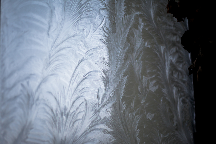 frost the artist - My, freezing, Patterns on the window, Winter, Longpost