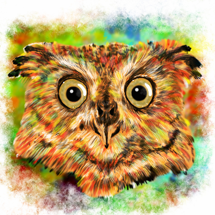 Owl or Owl? - My, Art, Birds, Drawing, Digital drawing, Watercolor, Sight, Owl, Owl