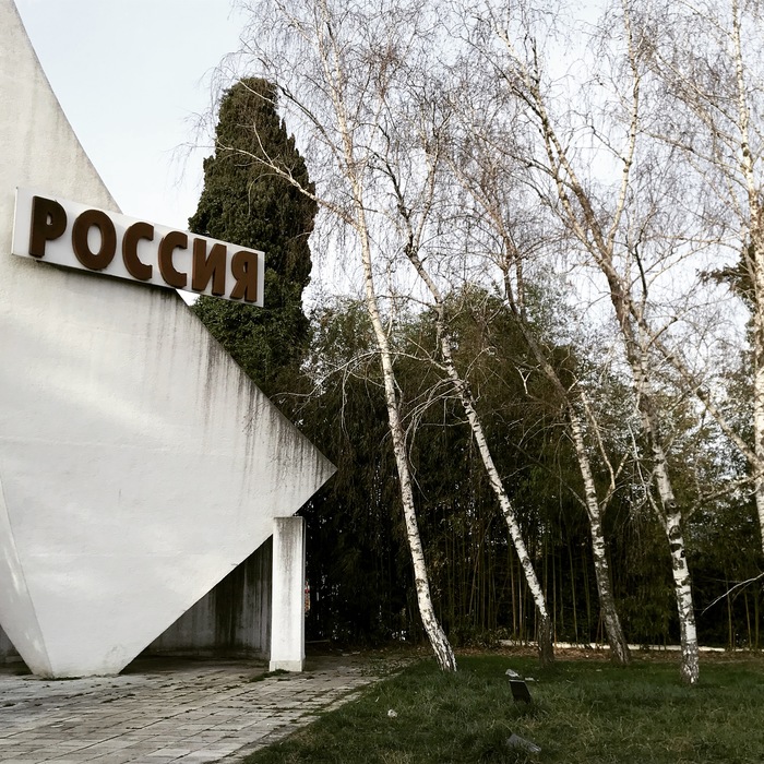 Отчего же в России бамбук так шумит...