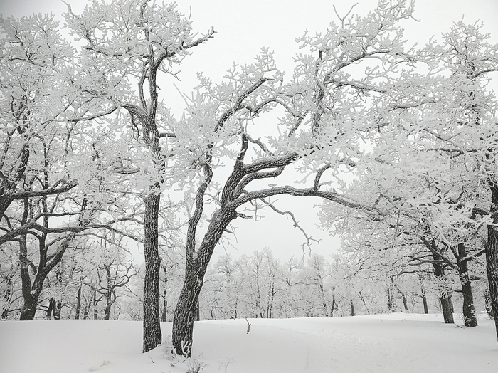 Nature is an artist. - Winter, My, Longpost, Snow, Nature