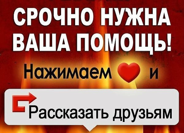 In this story there is a real hero and an example for the youth. - United Russia, Lawlessness, Officials, Where the world is heading, Where are we heading?, Longpost