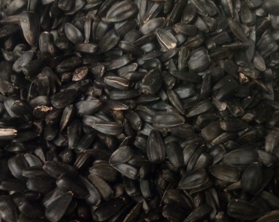 Do you love roasted sunflower seeds as much as I love them? - My, Seeds, Food, Recipe, Benefit, , , Video, Longpost