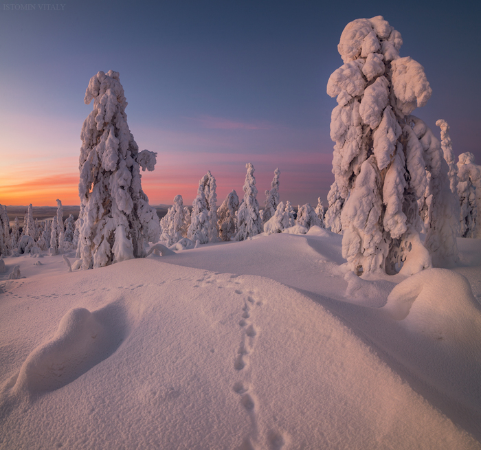 In the footsteps - My, Travels, Russia, Snow, Winter, Sunset, Nature, The photo, Beautiful