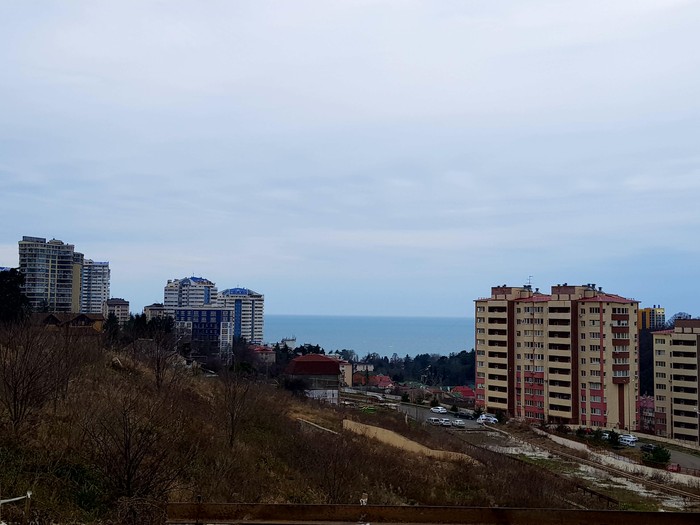 Walk around Sochi 04.02.2018 - My, Sochi, , Winter, Longpost