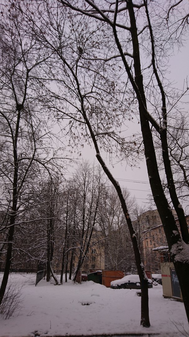 “In the meantime, it was covered with snow…” The cat-dart-climber deceived the girl-alpinist and flew away on an unscheduled flight! - Volunteering, cat, Ministry of Emergency Situations, The rescue, Longpost