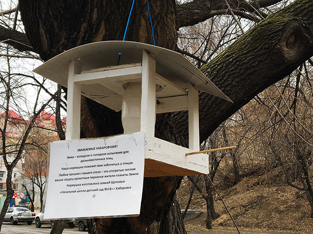 Land of empty feeders - Children, Psychology, Birds, Winter, Trough, Safety, Katerina Murashova, Longpost