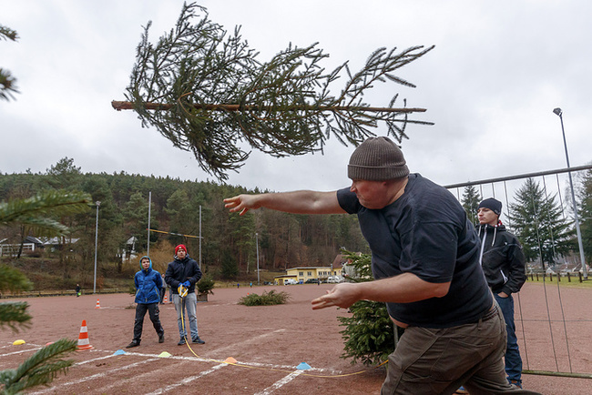 Meanwhile in Germany - Germany, Christmas Trees-Sticks, Bullshit, Christmas tree