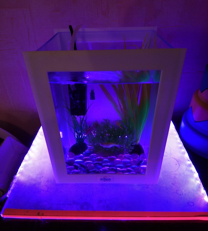 Illuminated aquarium stand - Aquarium, My, Backlight