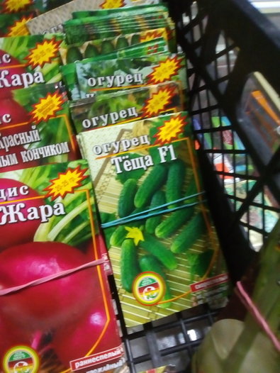 ������� ���� ����