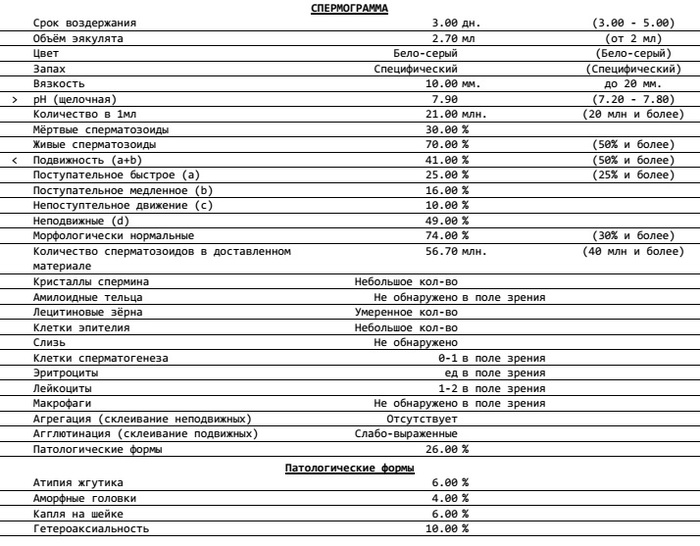 Консультация андролога