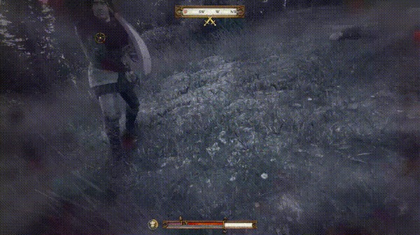 Мастер меча Kingdom Come: Deliverance, Баг, Бой, Гифка