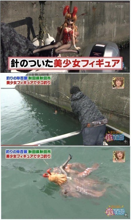 Japanese fishing and miracle bloodworm on an octopus - Fishing, Anime, Not anime, Japanese shows, Octopus