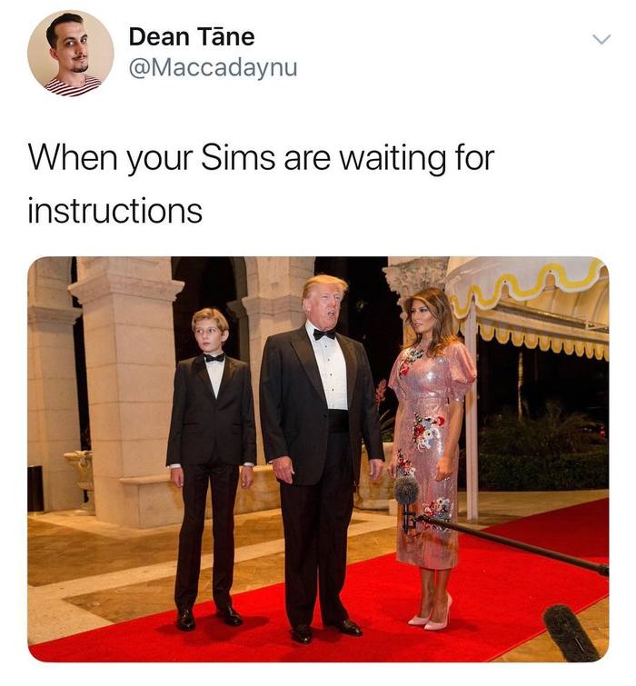 When your Sims are waiting for instructions - , Instagram, The sims, Analogy, Donald Trump