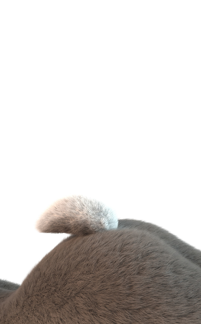 I decided to give you strawberries here. - NSFW, Zootopia, Zootopia, Judy hopps, Erotic, Fan art, 3D modeling, Longpost