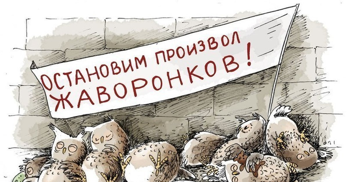 Против пока. Остановим произвол Жаворонков. Остановим произвол Жаворонков Совы. Приколы про сов и Жаворонков. Долой диктатуру Жаворонков.