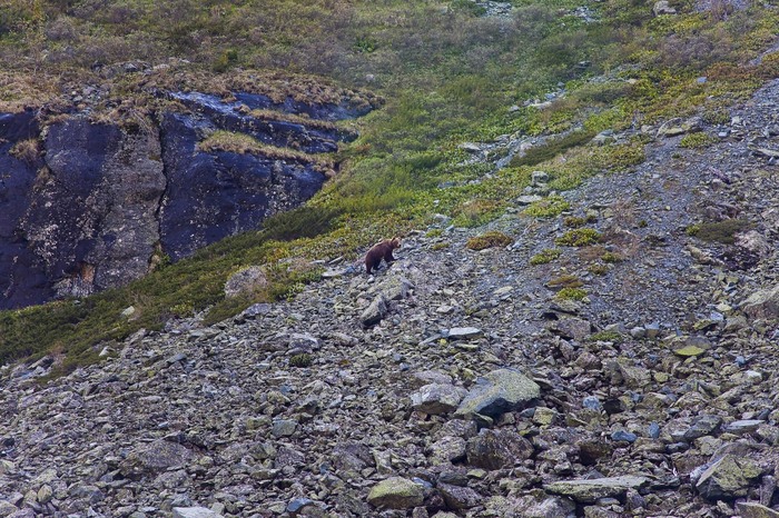 рыба в мультинских озерах. Смотреть фото рыба в мультинских озерах. Смотреть картинку рыба в мультинских озерах. Картинка про рыба в мультинских озерах. Фото рыба в мультинских озерах рыба в мультинских озерах. Смотреть фото рыба в мультинских озерах. Смотреть картинку рыба в мультинских озерах. Картинка про рыба в мультинских озерах. Фото рыба в мультинских озерах