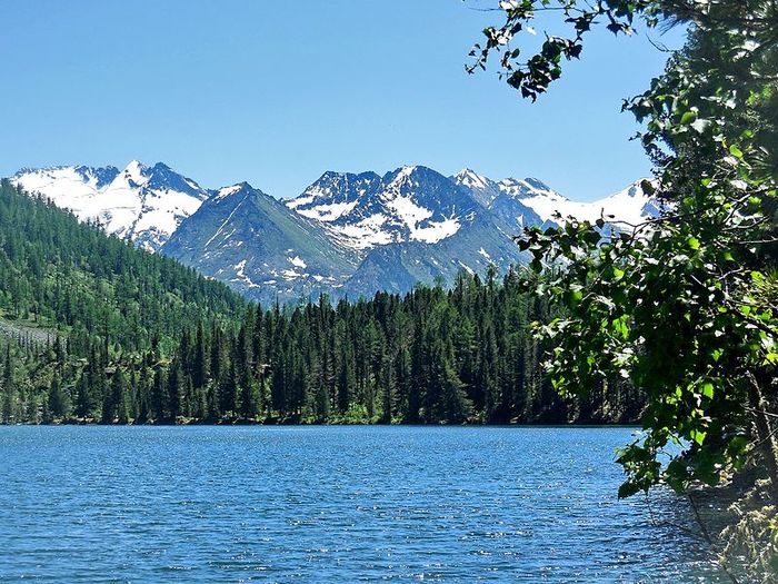 рыба в мультинских озерах. Смотреть фото рыба в мультинских озерах. Смотреть картинку рыба в мультинских озерах. Картинка про рыба в мультинских озерах. Фото рыба в мультинских озерах рыба в мультинских озерах. Смотреть фото рыба в мультинских озерах. Смотреть картинку рыба в мультинских озерах. Картинка про рыба в мультинских озерах. Фото рыба в мультинских озерах