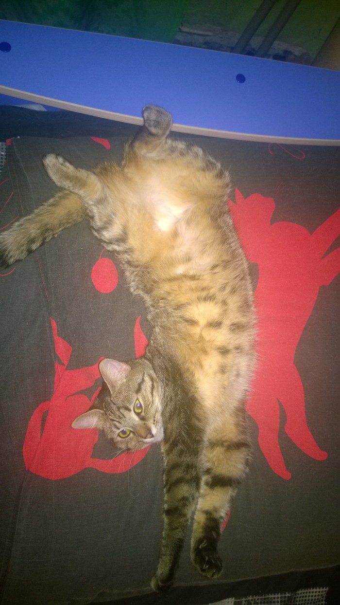 Удобная поза