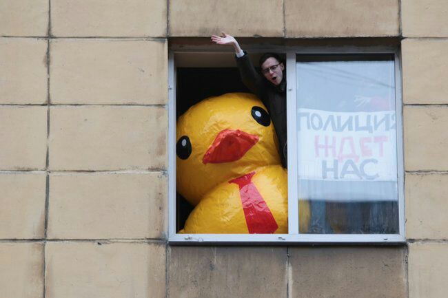 Deadline for a duck! - Alexey Navalny, Russia, Opposition, Politics, Court, Arrest, Police, Lawlessness