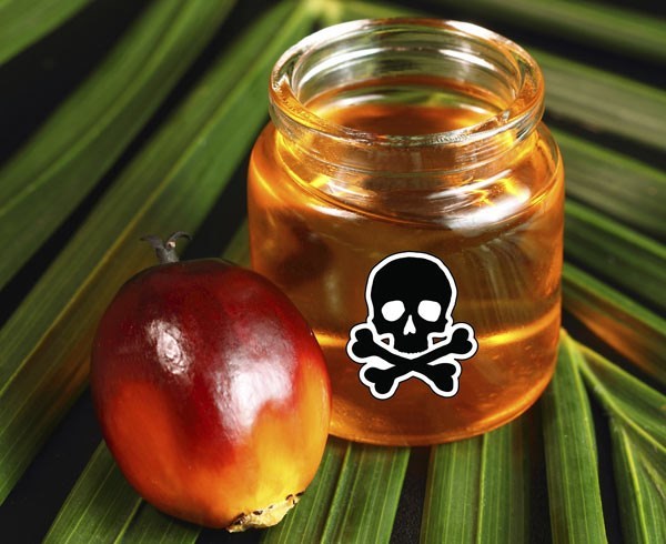 Worse than mercury and cyanide: How we are being poisoned with palm oil - Person, Palm oil, news, Scientific research, Research, Europe, I, Video, Longpost