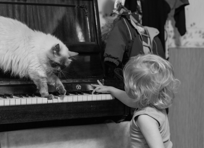 Now I will teach - cat, Children, Games, On the, Piano, Teacher, Tag