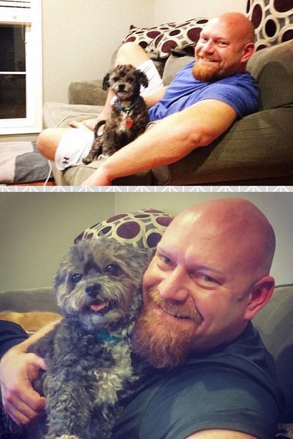 15 photos of animals before and after they found their home and loving owners - Animal Rescue, The photo, Longpost, Dog, cat