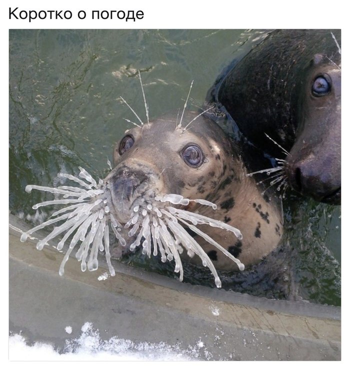 Март пришел, а тепла так и нет.