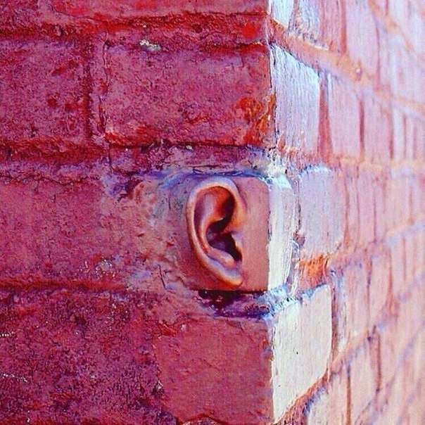 Carefully! Walls have ears! - From the network, Wall, Ears