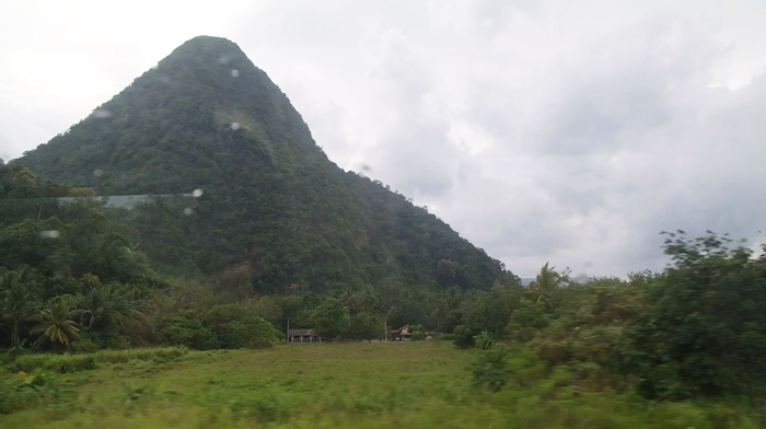 Southeast Asia from the inside or how to see everything in 7 days [Part 3 - the unexpected beauties of Malaysia] - My, Travels, A train, Malaysia, Kuala Lumpur, Metro, Nature, Southeast Asia, Asia, Longpost