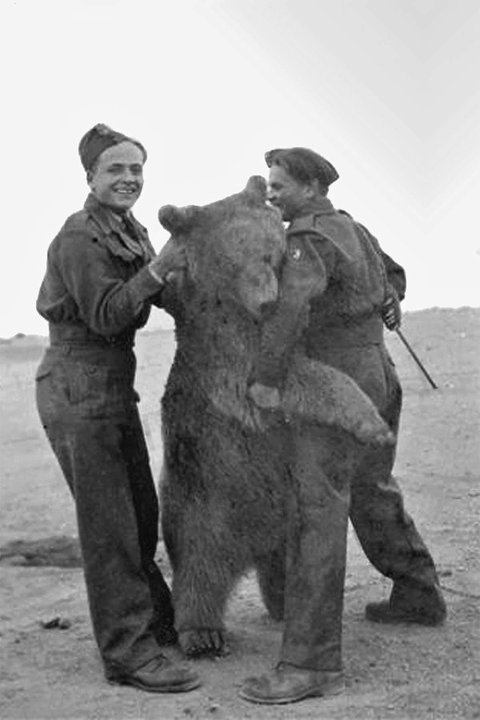 Капрал Войцех вторая мировая война, Армия андерса, медведь, капрал, длиннопост