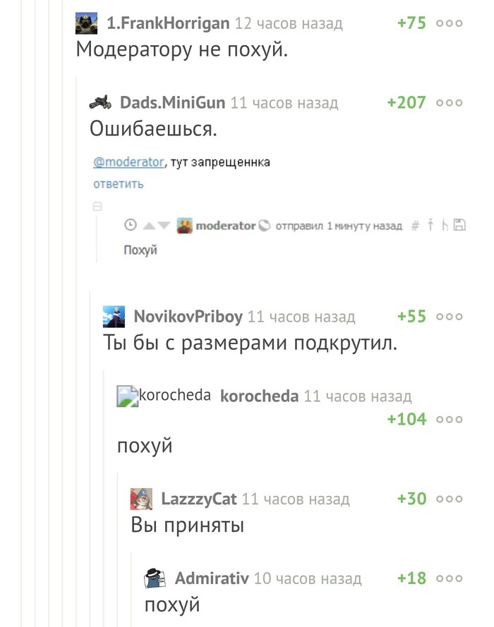 Честно и ёмко. - Скриншот, Комментарии на Пикабу, Модератор, Мат, Скриншот в скриншоте