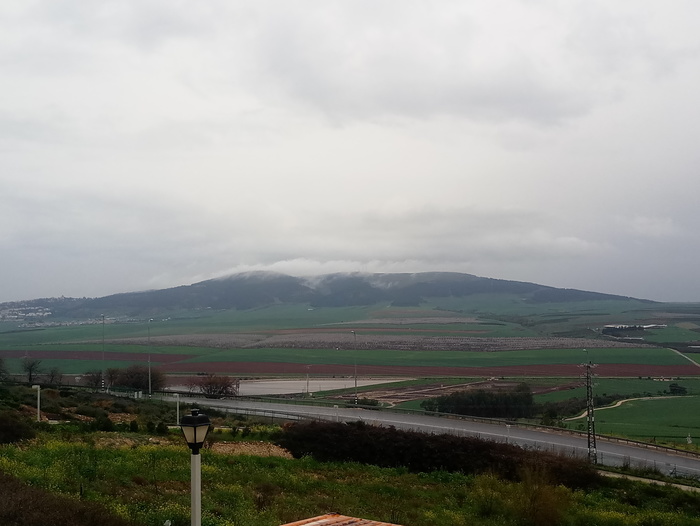 Spring in Israel - My, Nature, Israel, Spring