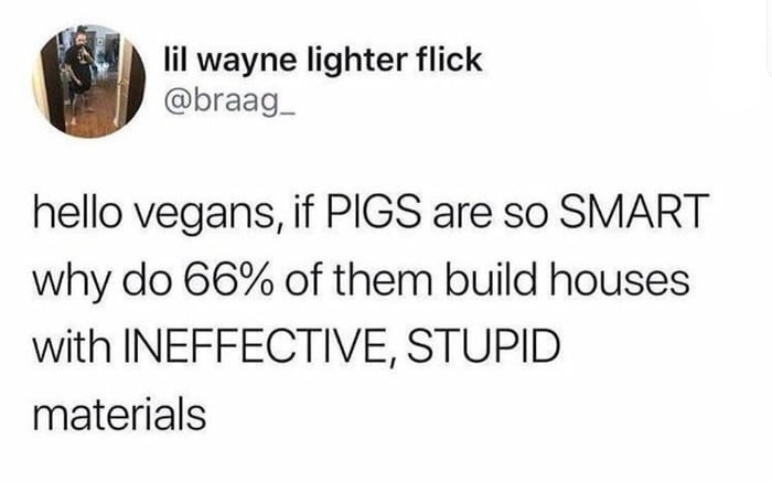 Ignorant Vegetarians - 9GAG, Three pigs, Vegan