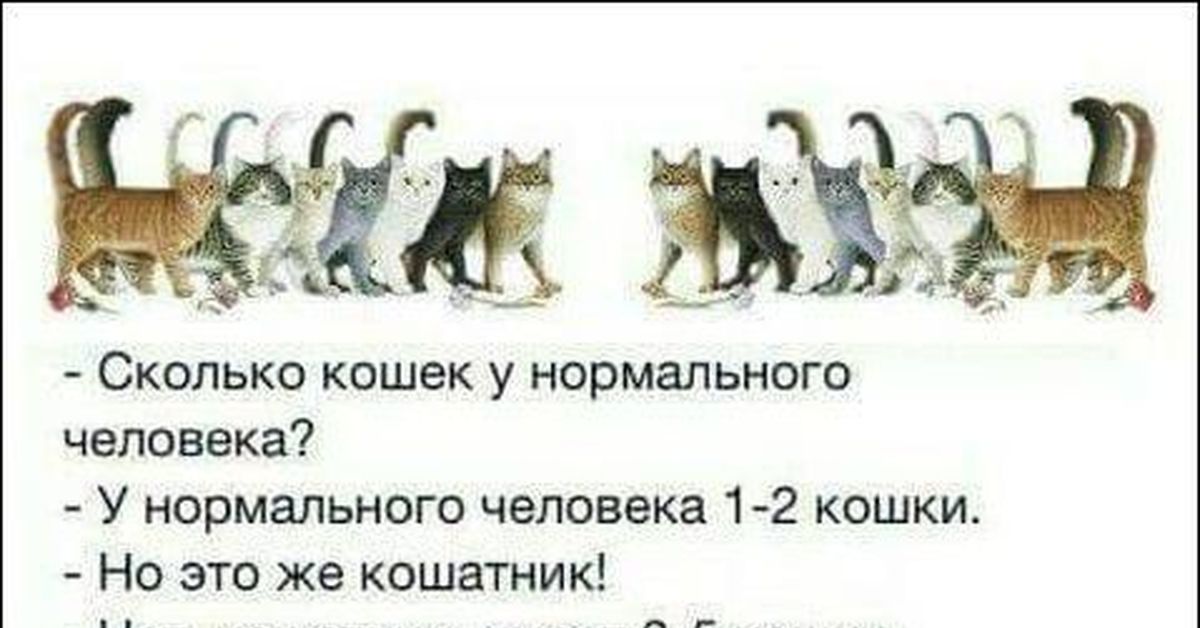 Диаграмма на тему кошки