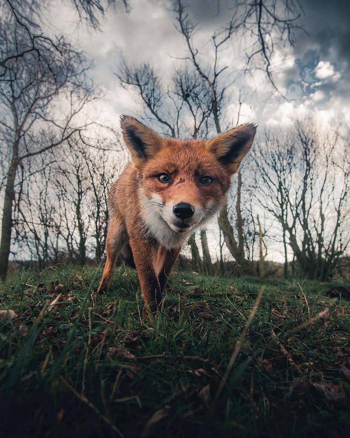 Как на обложку нового альбома ^.^