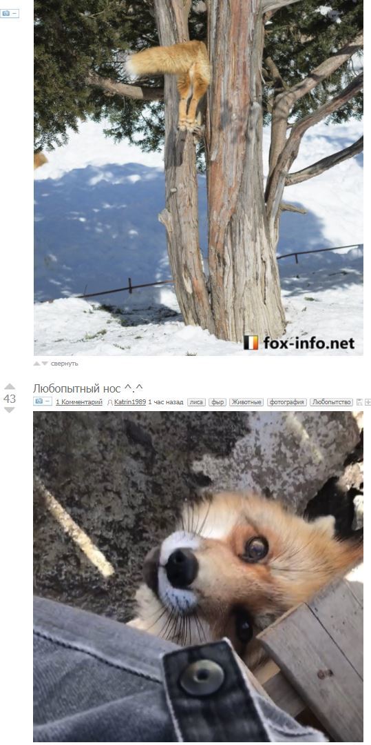 Совпадение? Не думаю...